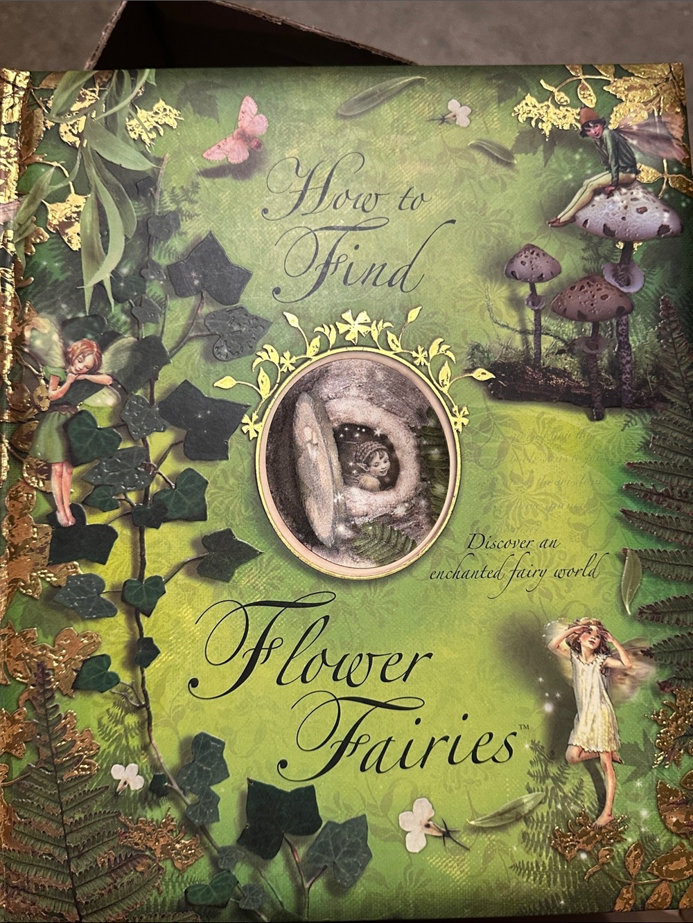 Flower Fairies "How to Find" Decorative Book-Style Home Accent - Green